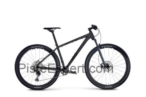 Rose Count Solo fiche technique et avis